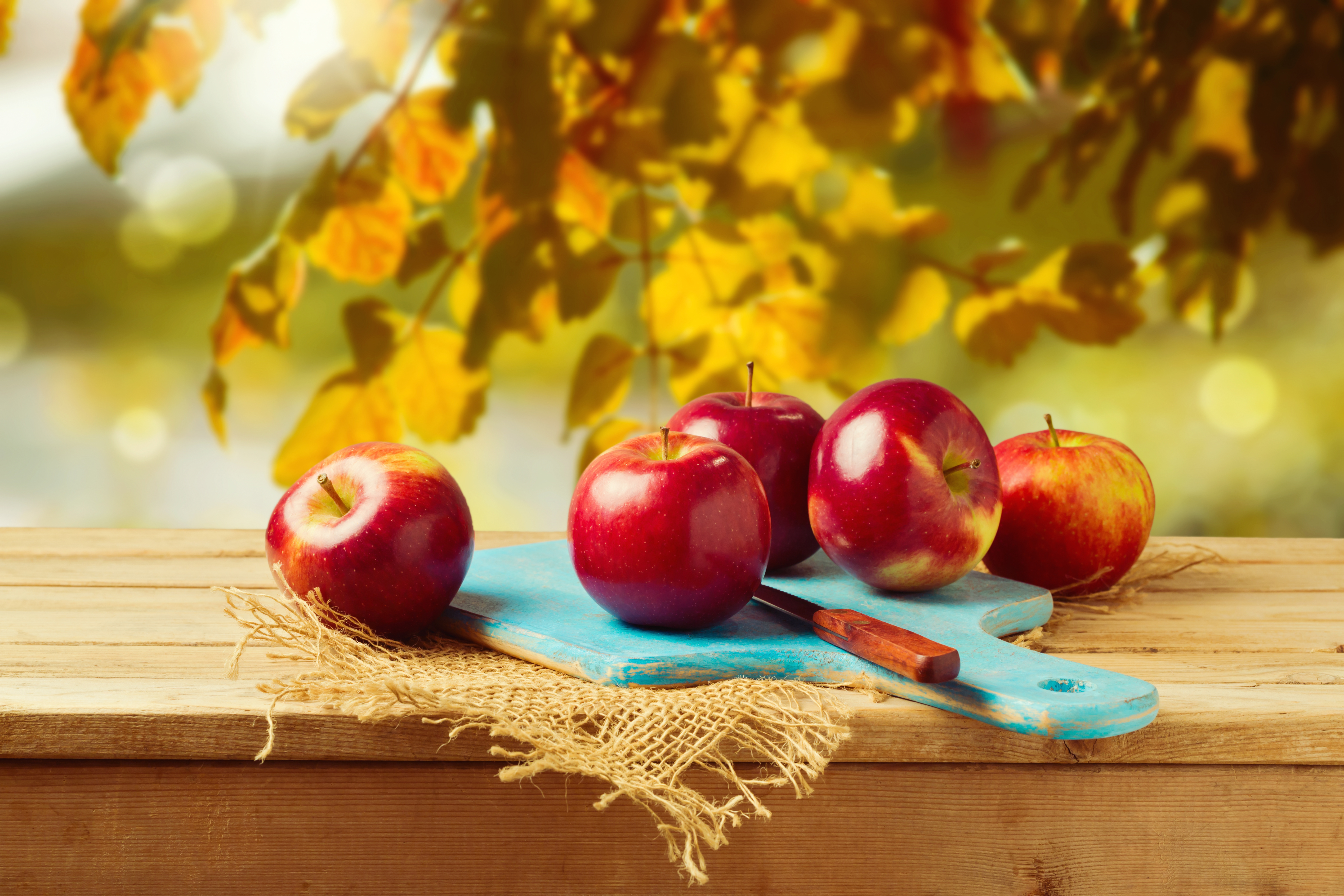 Хороша осень плодами. Осень яблоки. Натюрморт с яблоками. Яблоко на столе. Яблоня осень.
