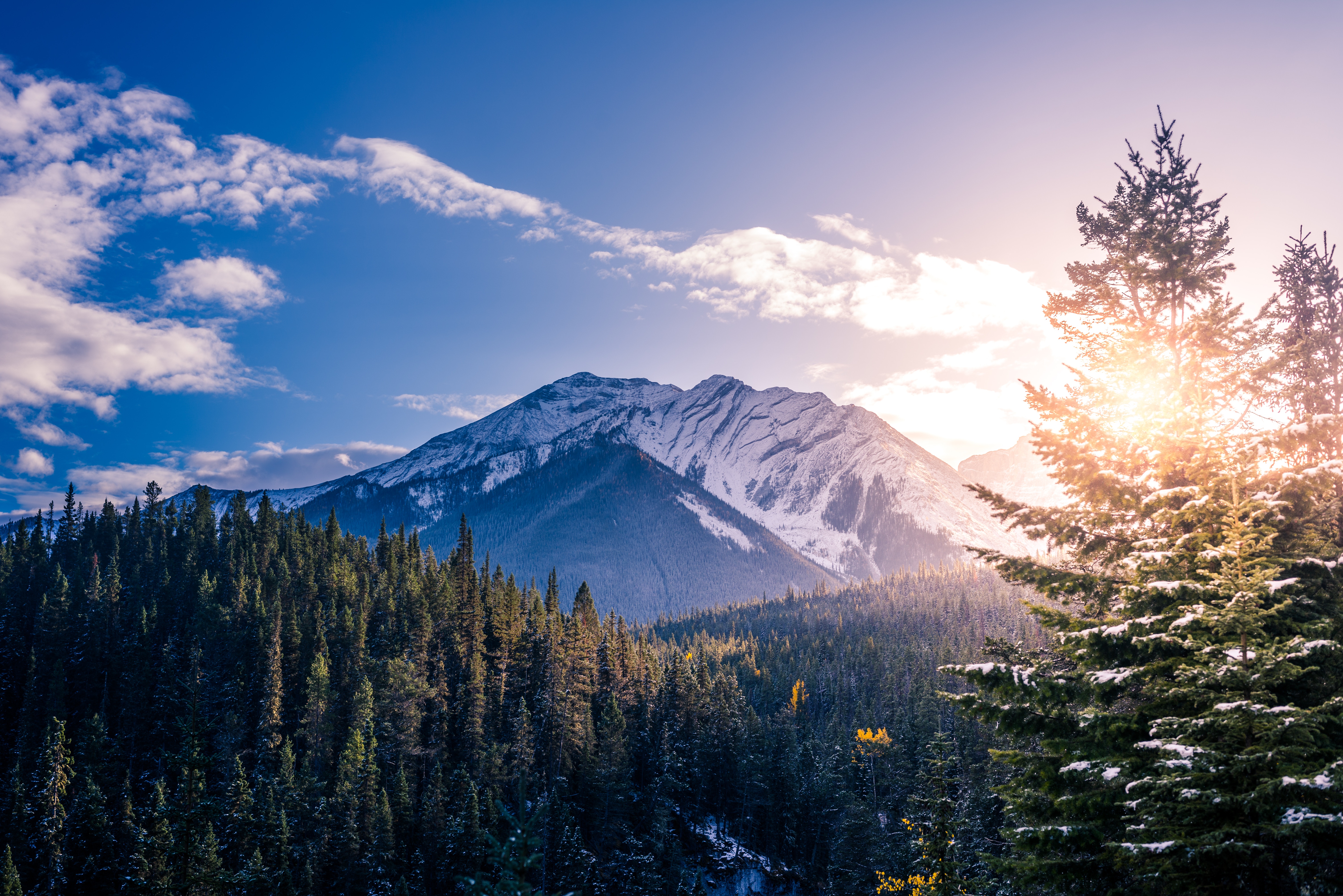 Фото лес и горы. Национальный парк Банфф, Канада. Сиэтл гора Рейнир. Горные вершины Канада. Уайт-Маунтинс (национальный парк).