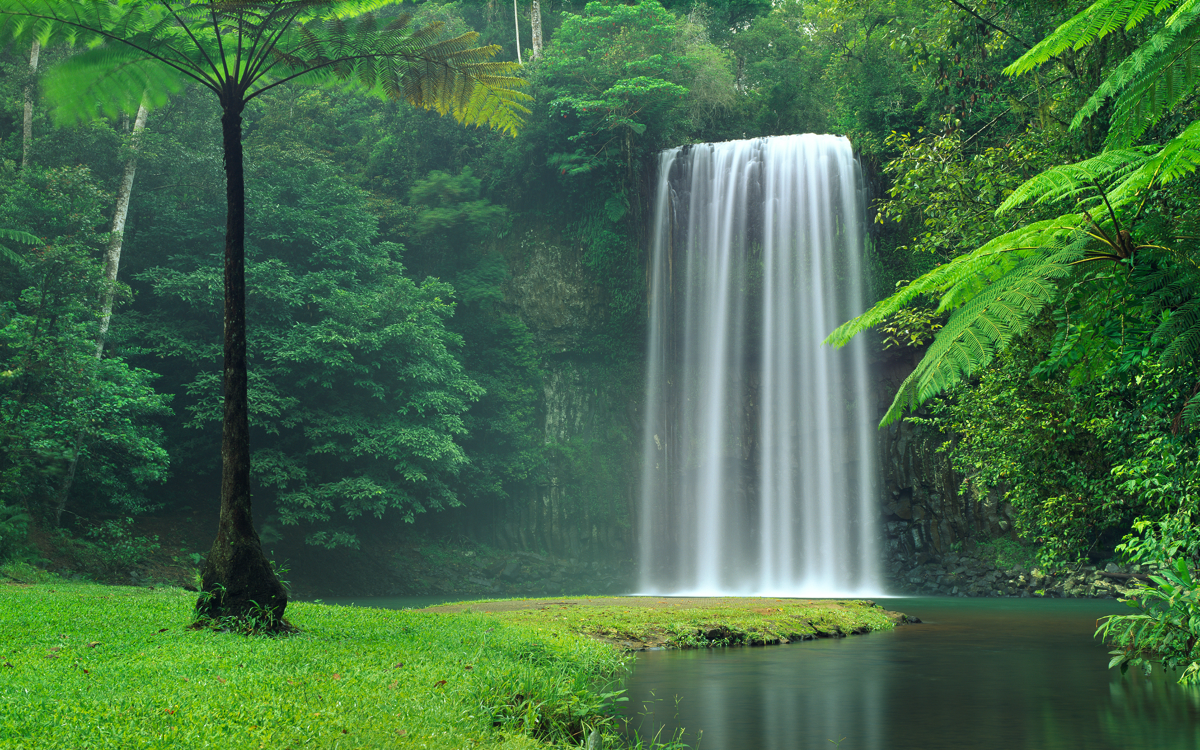 Красивые обои на телефон природа. Гавайи водопады. Водопад тропики. Водопад в лесу. Лесной водопад.