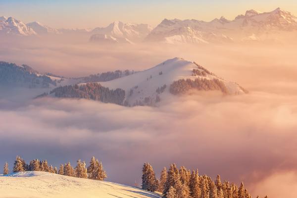 Альпы, Швейцария, Горы, Облака, Сосны, HD, 2K, 4K
