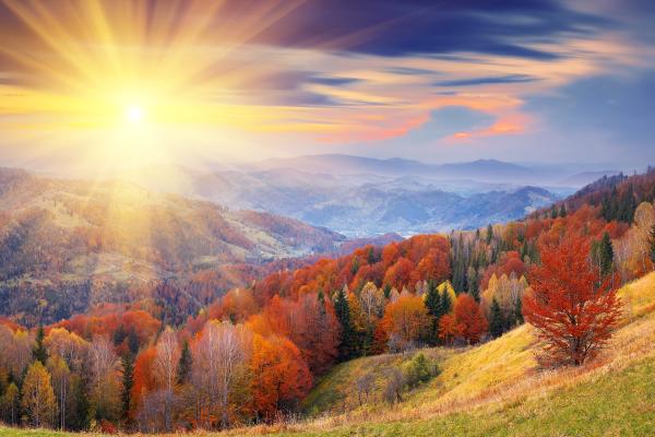 Осень, Деревья, Рассвет, Гора, Раскраски, HD, 2K, 4K, 5K