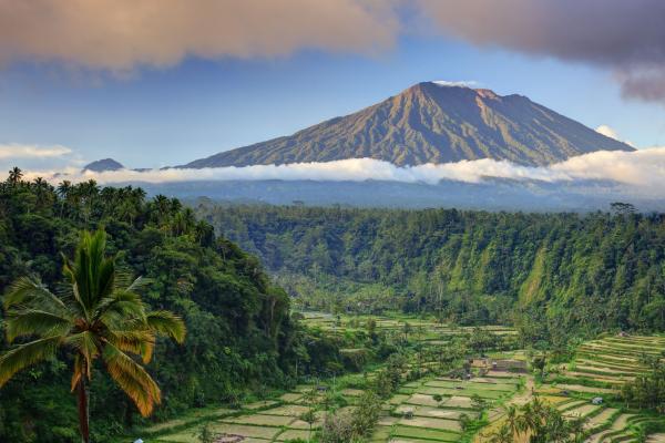 Бали, Пальмы, Деревья, Поле, Гора, Облака, HD, 2K, 4K, 5K