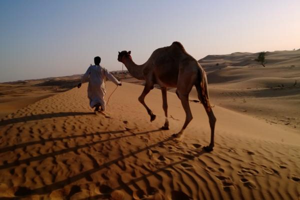 Верблюд В Пустыне, Арабский Караван, Деревня Арабских Ночей, Тест Nokia Lumia, Туризм В Абу-Даби, HD, 2K, 4K, 5K