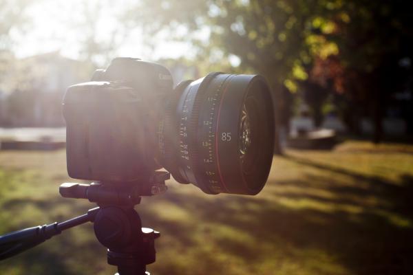 Canon Eos C500, Цифровой, Фотоаппарат, Профессиональный Фотоаппарат, Фото, Обзор, Природа, HD, 2K, 4K, 5K