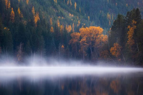 Озеро Эхо, Лес, Деревья, Туман, Колумбия, Осень, HD, 2K, 4K, 5K