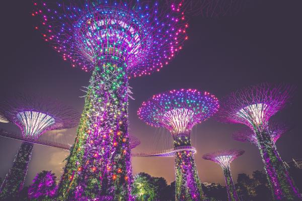 Сады У Залива, Освещение, Свет, Современный, Marina Bay, Сингапур, HD, 2K, 4K