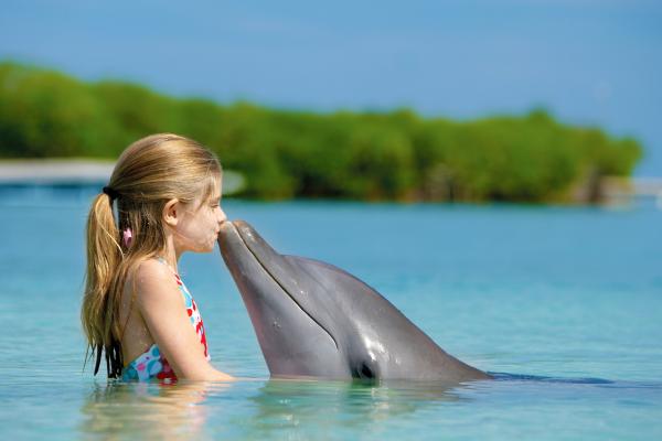 Девушка И Дельфин, Океан, Мальдивы, HD, 2K, 4K, 5K