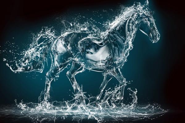 Лошадь, Вода, Прозрачная, 10K, HD, 2K, 4K, 5K, 8K