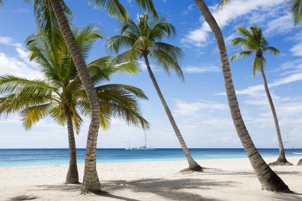 Ямайка, Карибский Бассейн, Пляж, Пальмы, Небо, Путешествия, Туризм, HD, 2K, 4K, 5K