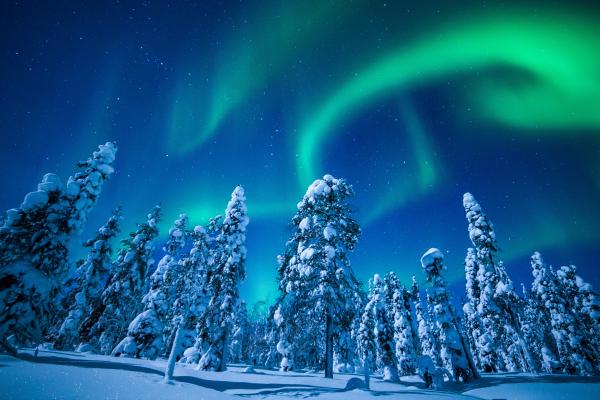 Лапландия, Финляндия, Зима, Снег, Дерево, Ночь, Северное Сияние, HD, 2K, 4K, 5K