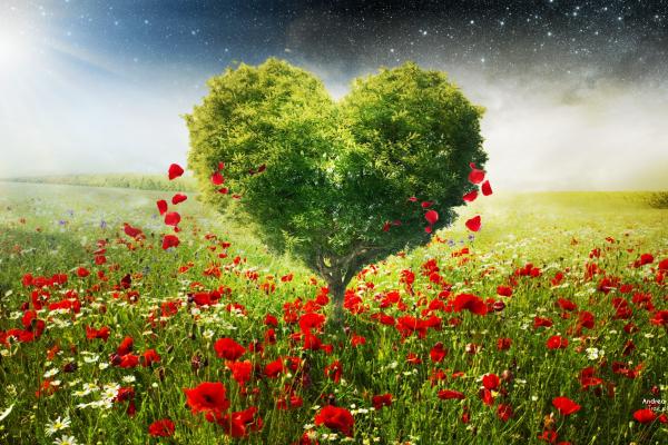 Любовный Образ, Сердце, Дерево, HD, 2K