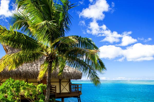 Мальдивы, Отпуск, Отпуск, Путешествие, Отель, Остров, Океан, Бунгало, Пляж, Небо, HD, 2K, 4K