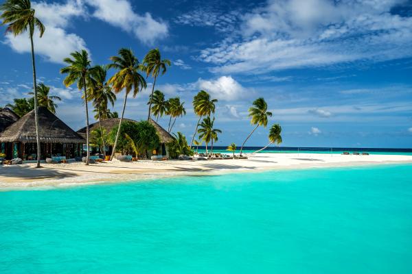 Мальдивы, Индийский Океан, Лучшие Пляжи Мира Пальмы, Берег, Небо, HD, 2K, 4K, 5K