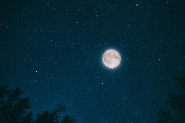 Night, Sky, Moon, Stars, Forest, HD, 2K, 4K