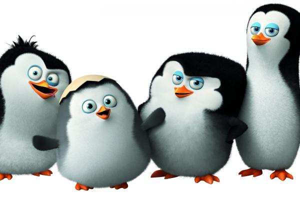 Пингвины Мадагаскара, Милый Пингвин, Мультфильм, Мадагаскар, Прикол, Шкипер, Ковальски, Рико, Рядовой, Смотреть, Лучшие Мультфильмы 2015 Года, HD, 2K, 4K, 5K