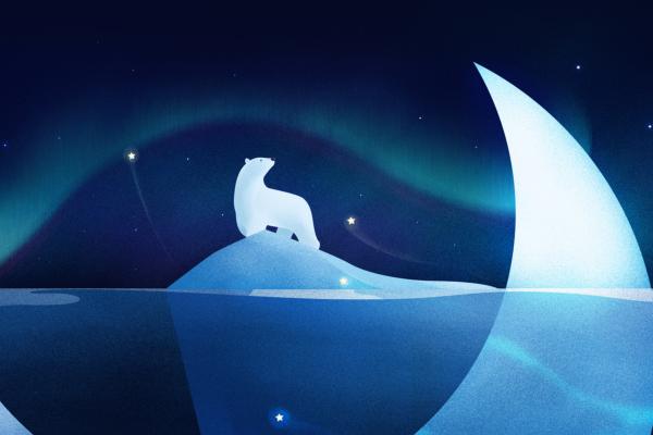 Белый Медведь, Звезды, Иллюстрация, Северное Сияние, HD, 2K