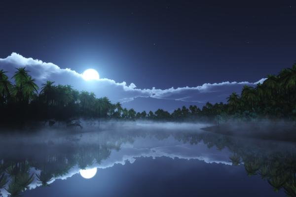 Река, Море, Пальмы, Ночь, Луна, Облака, HD, 2K, 4K