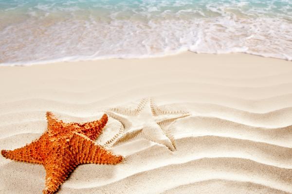 Море, Океан, Морская Звезда, Берег, Лучшие Пляжи Мира, HD, 2K, 4K