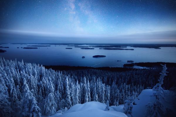 Заснеженный, Ночь, Зима, Национальный Парк Коли, Финляндия, HD, 2K