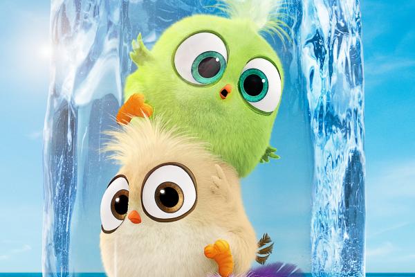 The Angry Birds Movie 2, Постер, HD, 2K, 4K, 5K