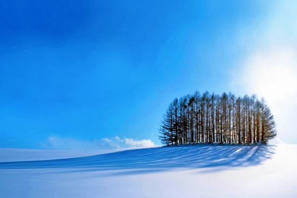 Деревья, Небо, Снег, Зима, HD, 2K, 4K