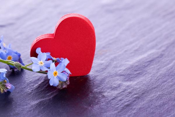 День Святого Валентина, 14 Февраля, Сердечки, Цветы, Любовь, HD, 2K, 4K