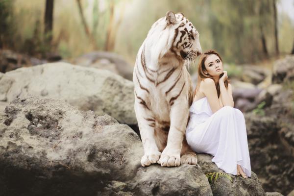 Белый Тигр, Модель, Девушка, Фотосессия, 5К, HD, 2K, 4K, 5K