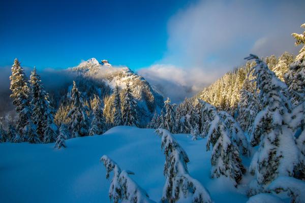 Зимние Горы, Лес, Канада, HD, 2K