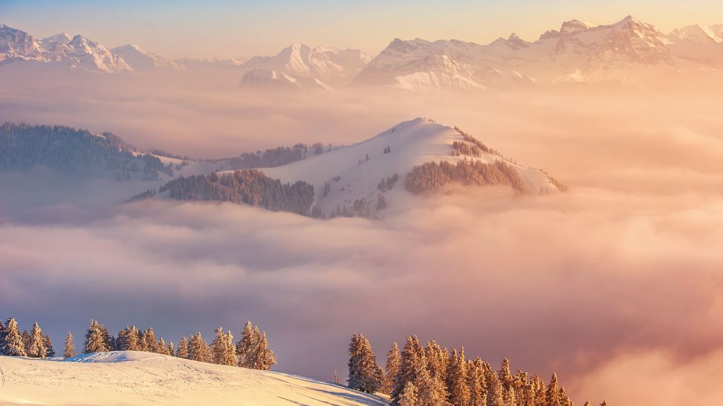 Альпы, Швейцария, Горы, Облака, Сосны, HD, 2K, 4K