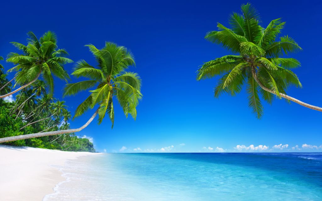 Пляж, Тропический, Солнечный, Красивый, HD, 2K, 4K, 5K