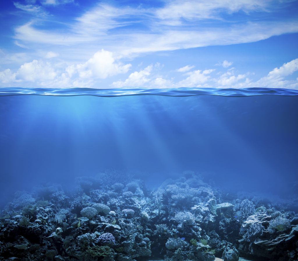 Коралловый Риф, Под Водой, Под Водой, HD, 2K, 4K