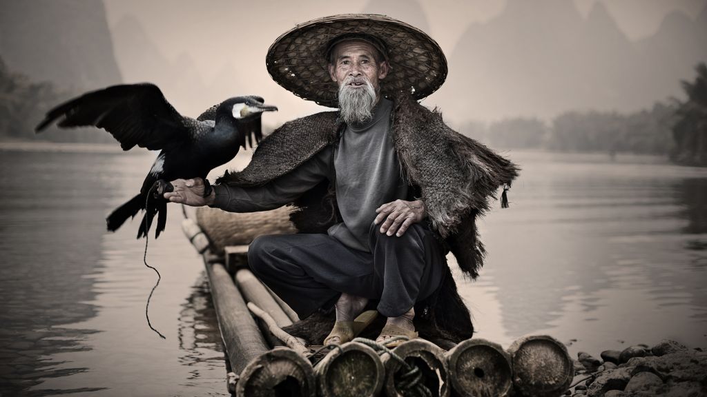 Баклан, Река Ли, Синпин, Китай, Рыбацкая Деревня, Птица, Фотоконкурс National Geographic Traveler, HD, 2K, 4K