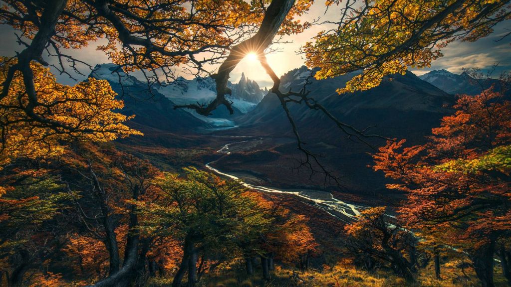 Лес, Дерево, Горы, Осень, HD