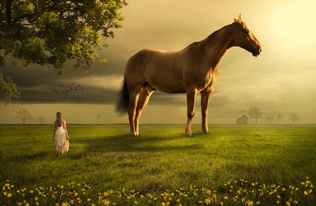 Лошадь, Девочка-Подросток, Мечта, Пейзаж, Атмосфера, HD, 2K, 4K