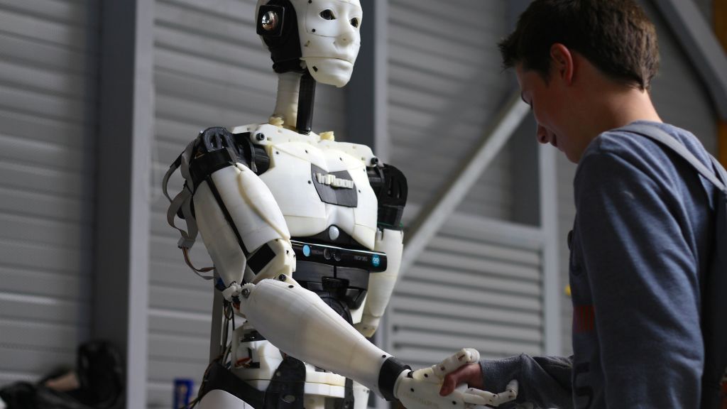 Inmoov, 3D-Печатный Робот, Maker Faire-2015, Роботы, HD, 2K, 4K, 5K