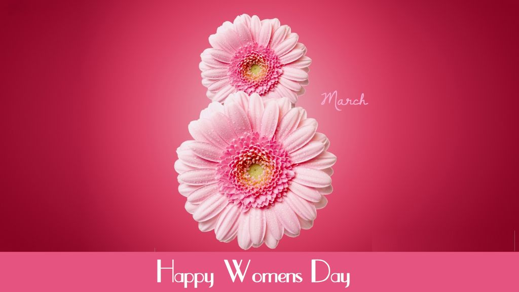 Международный Женский День, 8 Марта, Цветы, Розовый, Герберы, HD, 2K, 4K