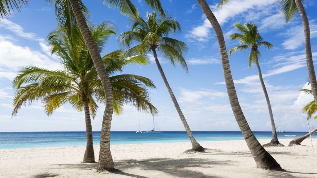 Ямайка, Карибский Бассейн, Пляж, Пальмы, Небо, Путешествия, Туризм, HD, 2K, 4K, 5K