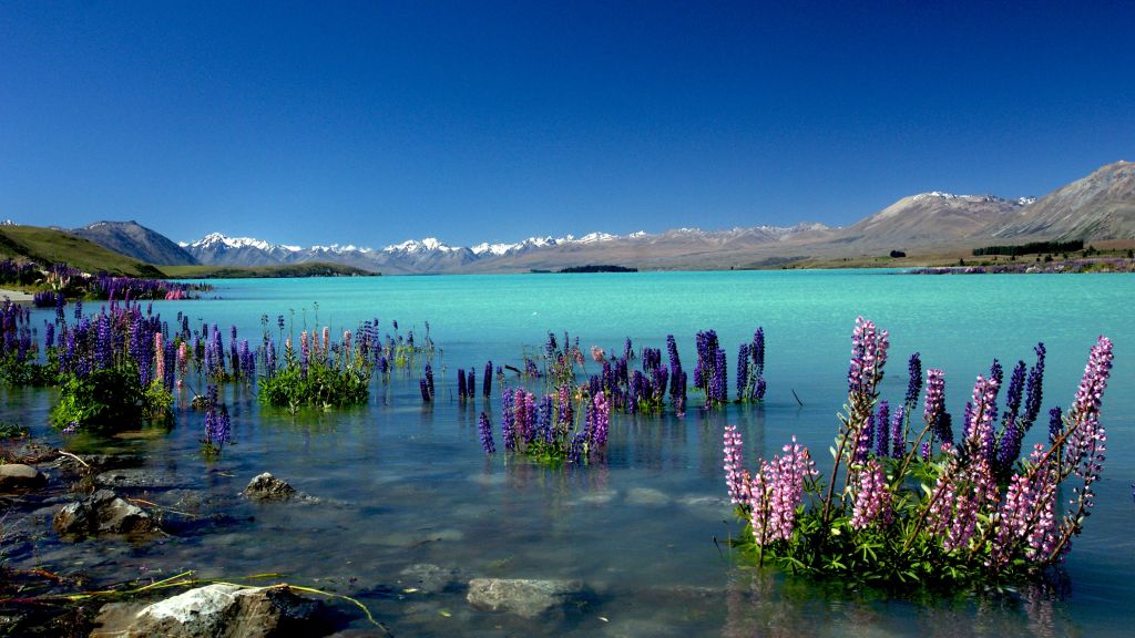 Озеро Текапо, Новая Зеландия, Горы, HD, 2K, 4K