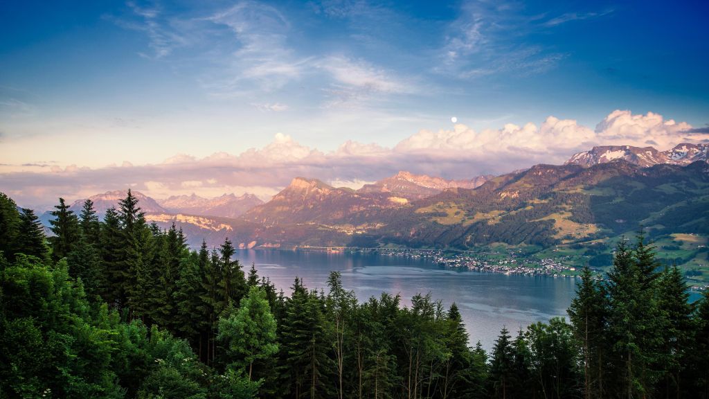 Цюрихское Озеро, Лес, Небо, Горы, HD, 2K, 4K