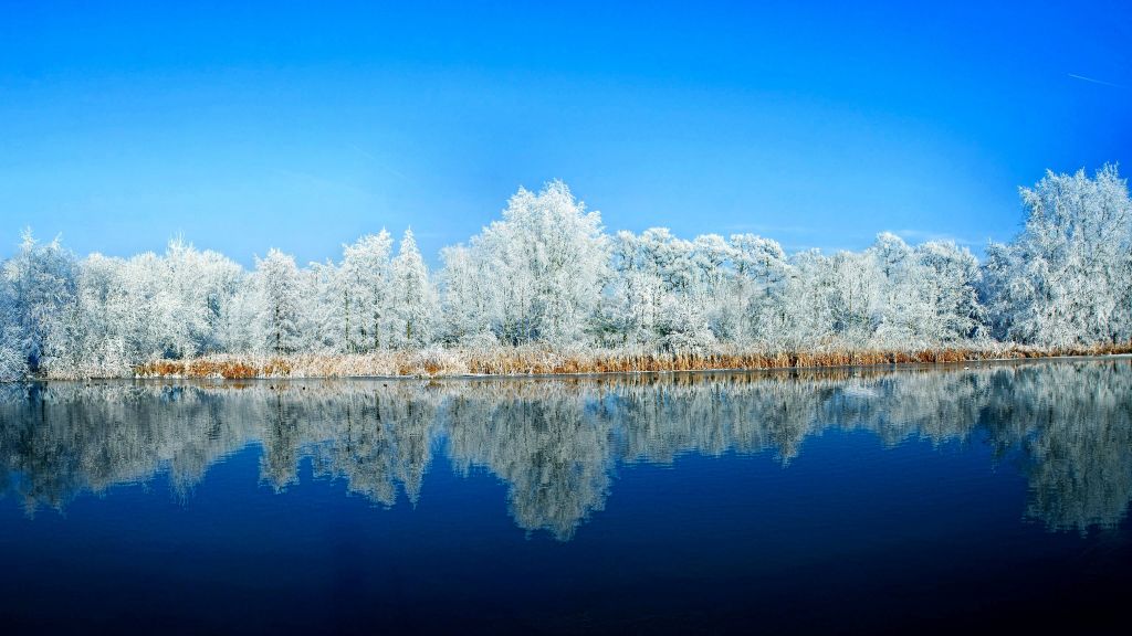 Озеро, Лес, Снег, Зима, HD, 2K, 4K, 5K
