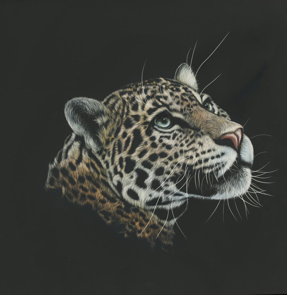 Leopard, Paint, Dark, HD, 2K