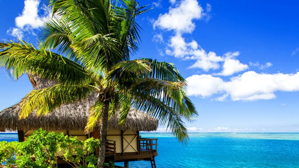 Мальдивы, Отпуск, Отпуск, Путешествие, Отель, Остров, Океан, Бунгало, Пляж, Небо, HD, 2K, 4K