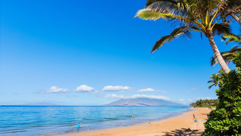 Мауи, Гавайи, Пляж, Океан, Побережье, Пальма, Небо, HD, 2K, 4K, 5K