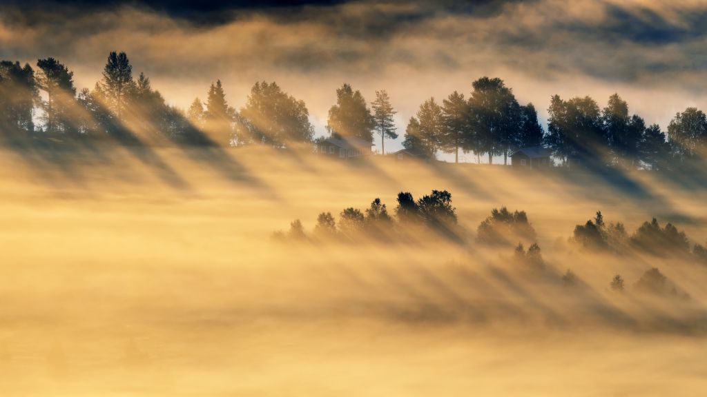 Утренний Свет, Туман, HD, 2K, 4K