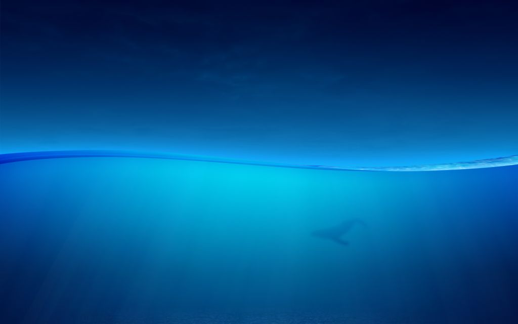 Океан, Подводный, Рыба, HD, 2K