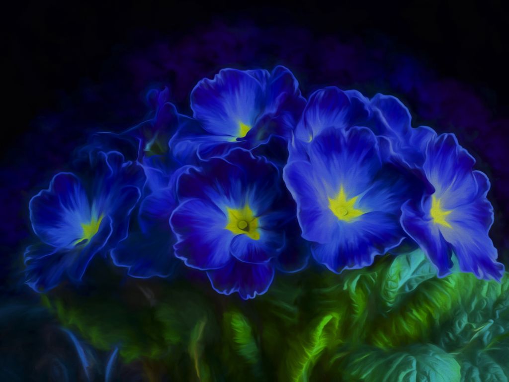 Первоцвет Синие Цветы, HD, 2K, 4K