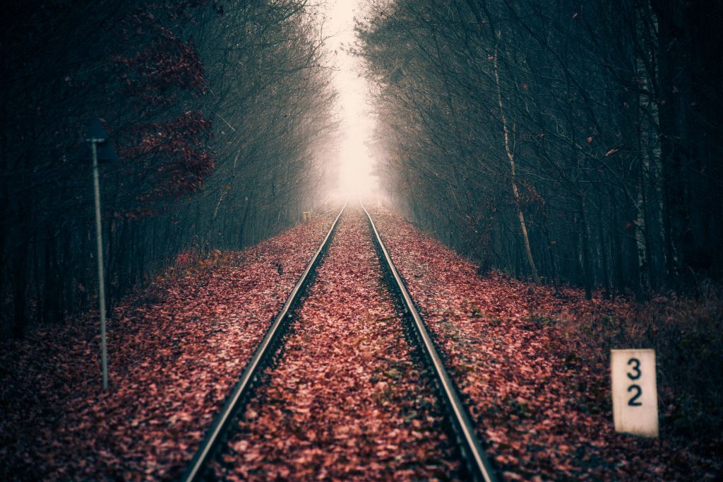 Железнодорожный Путь, Лес, Осень, 5К, HD, 2K, 4K, 5K