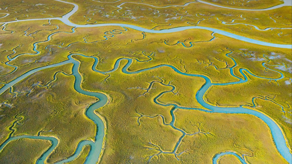 Река, Mockhorn Channel, Зеленый, Земля, HD, 2K