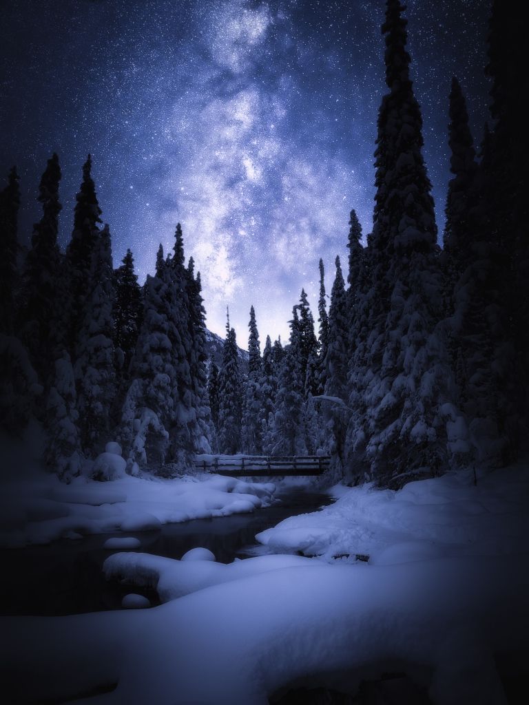 Звездное Небо, Ночь, Национальный Парк Банф, Зима, Сосны, Снег, HD, 2K, 4K