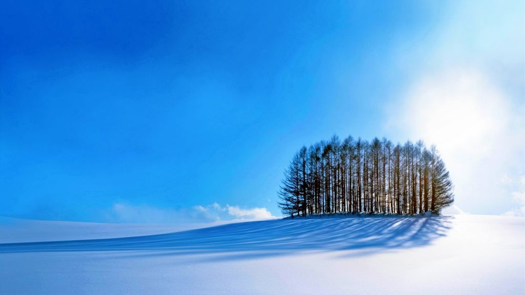 Деревья, Небо, Снег, Зима, HD, 2K, 4K